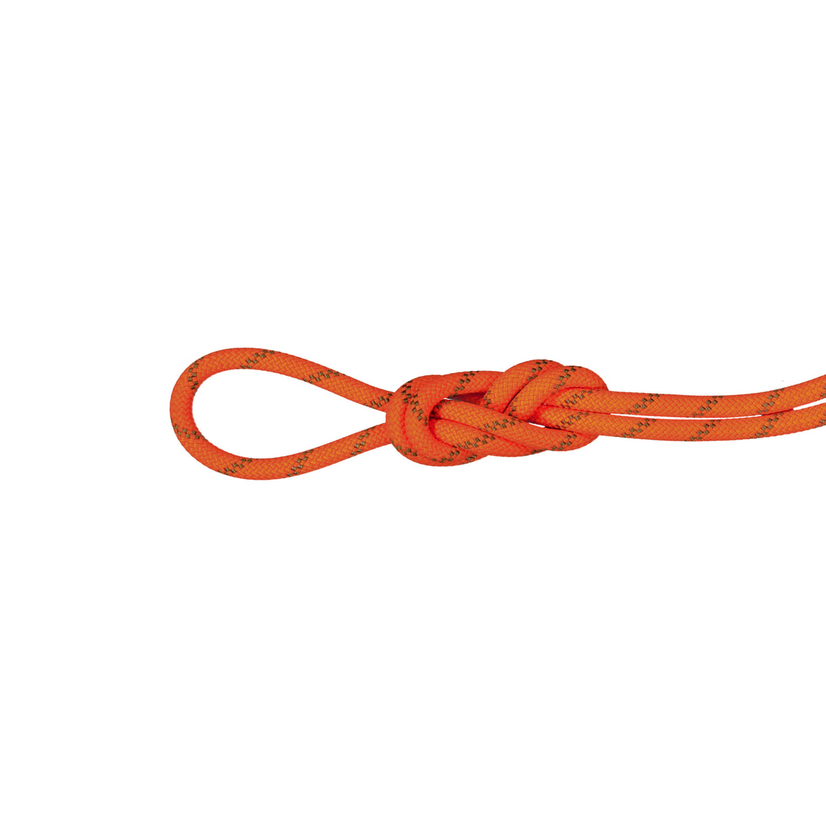 CLIMBING ROPES – Mammut ANZ