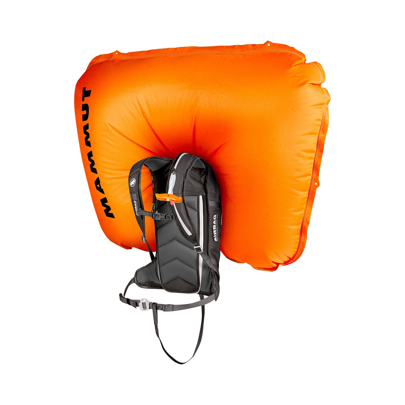 Avalanche Safety Airbags