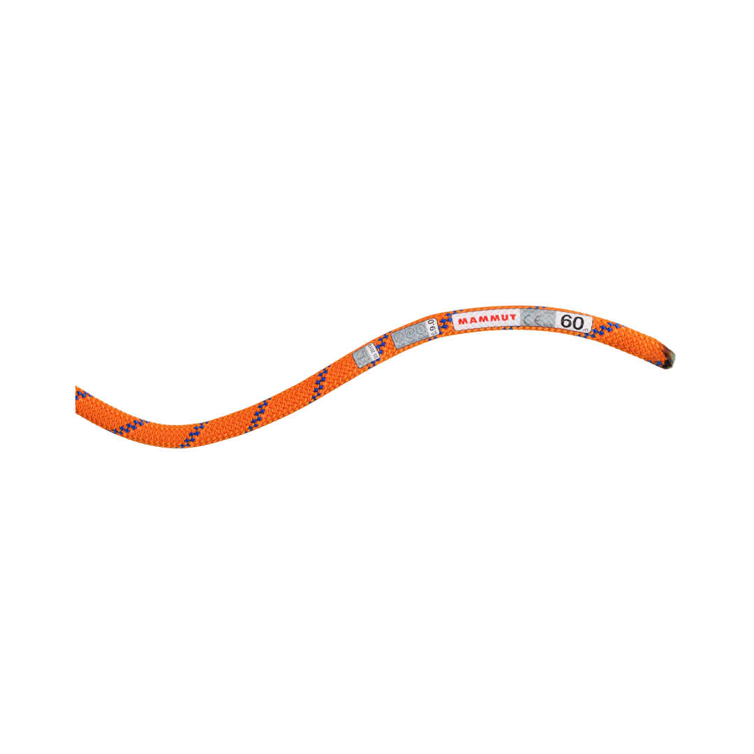 9.0 Alpine Sender Dry Rope