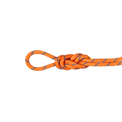 9.0 Alpine Sender Dry Rope