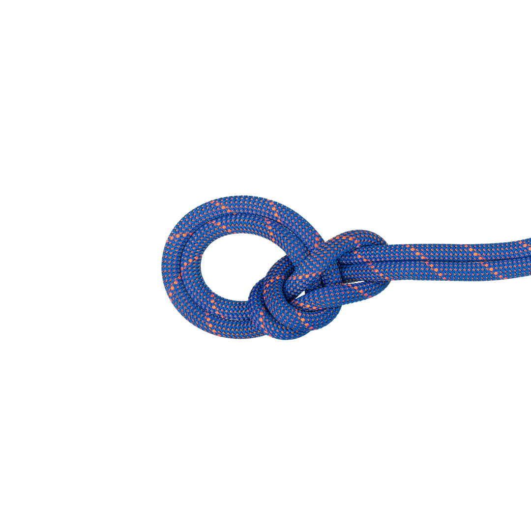 9.0 Crag Sender Dry Rope