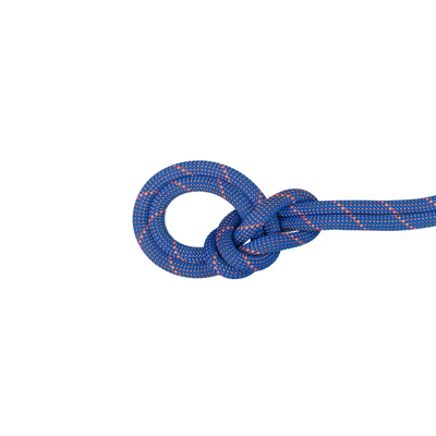 9.0 Crag Sender Dry Rope