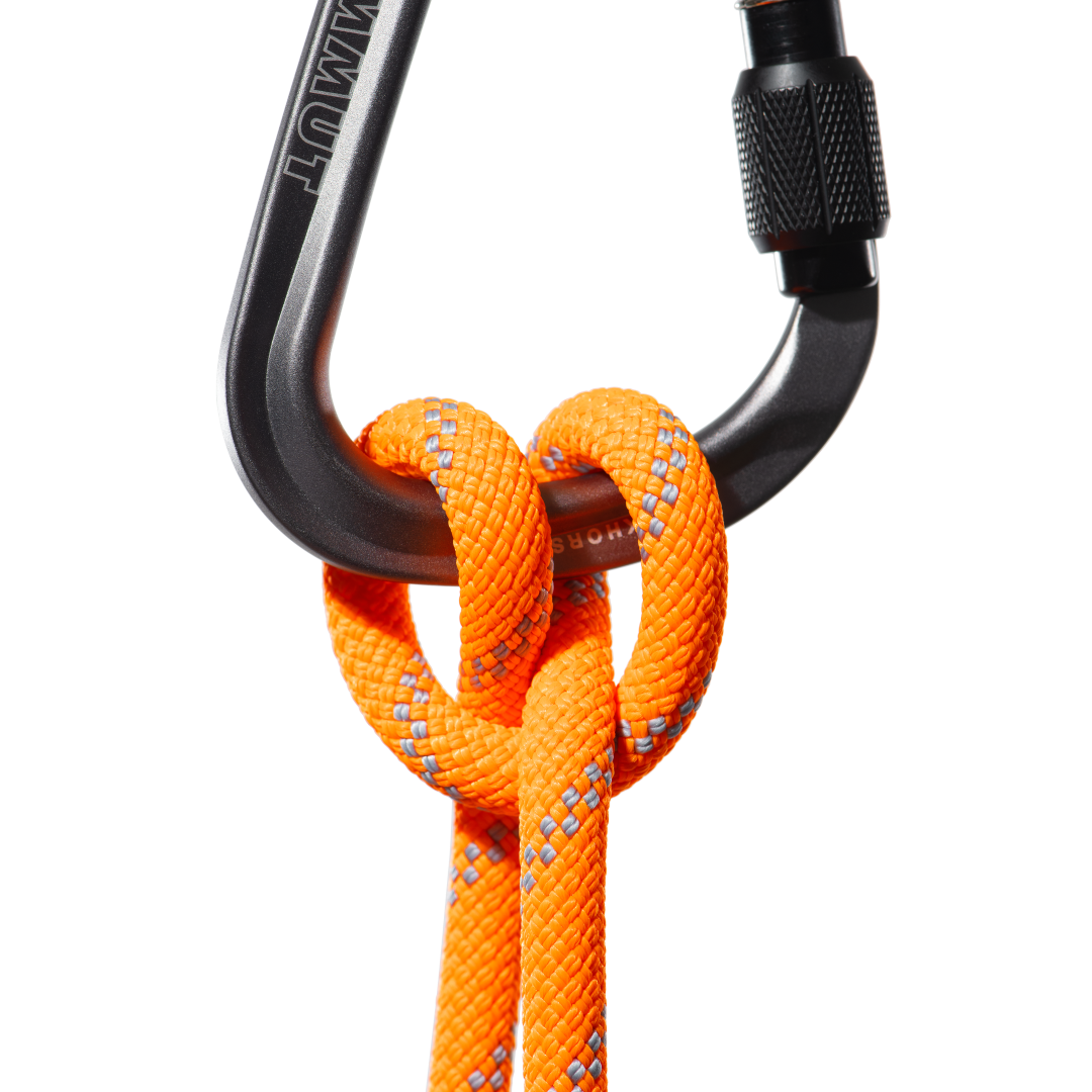 9.5 Alpine Dry Rope