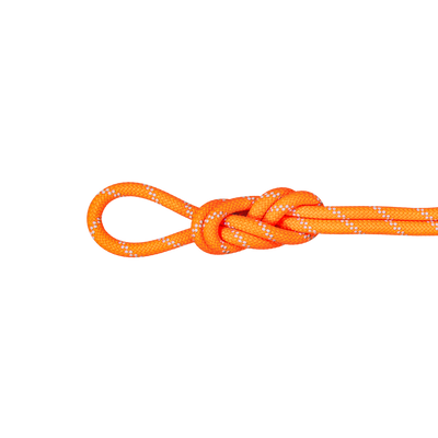 9.5 Alpine Dry Rope
