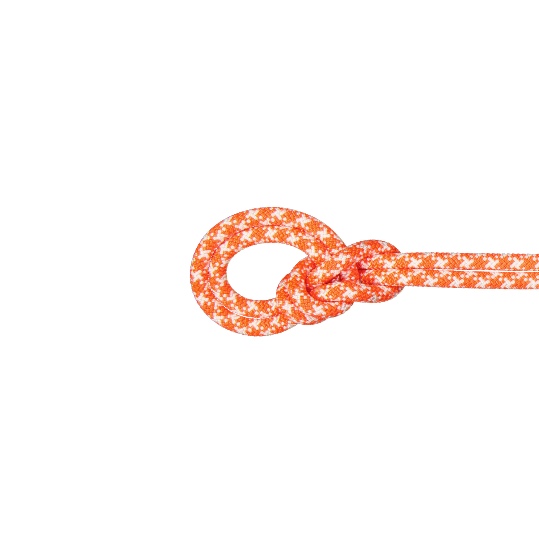 9.5 Crag Classic Rope