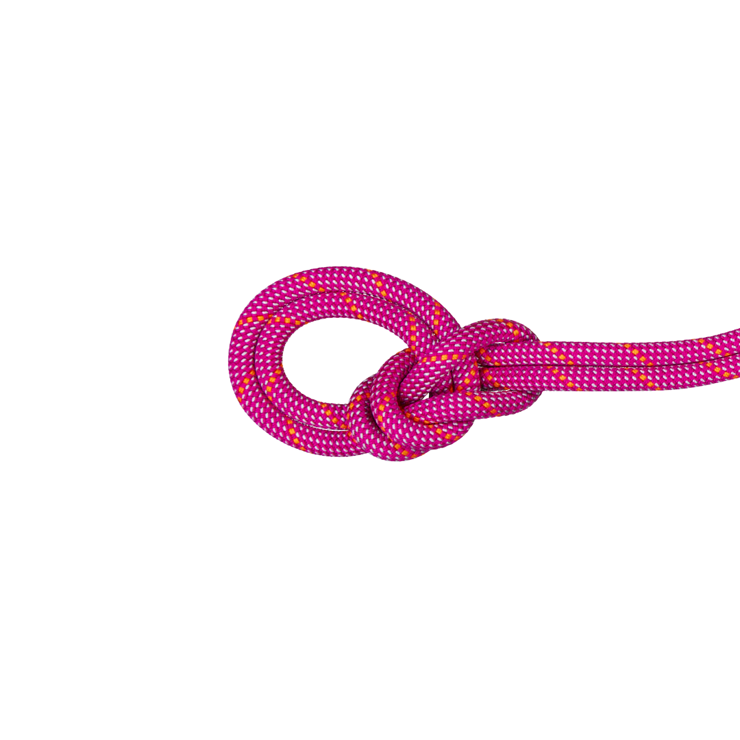9.5 Crag Dry Rope