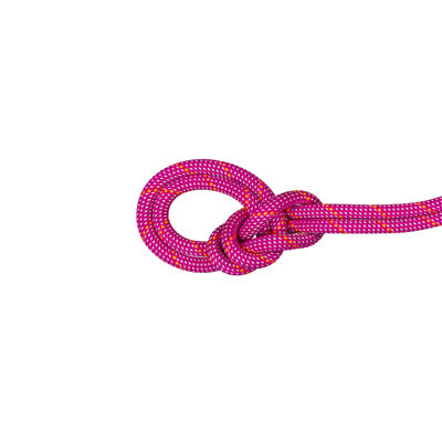 9.5 Crag Dry Rope