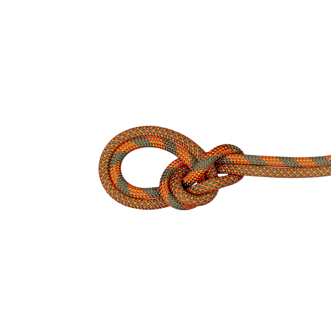 9.5 Crag Dry Rope