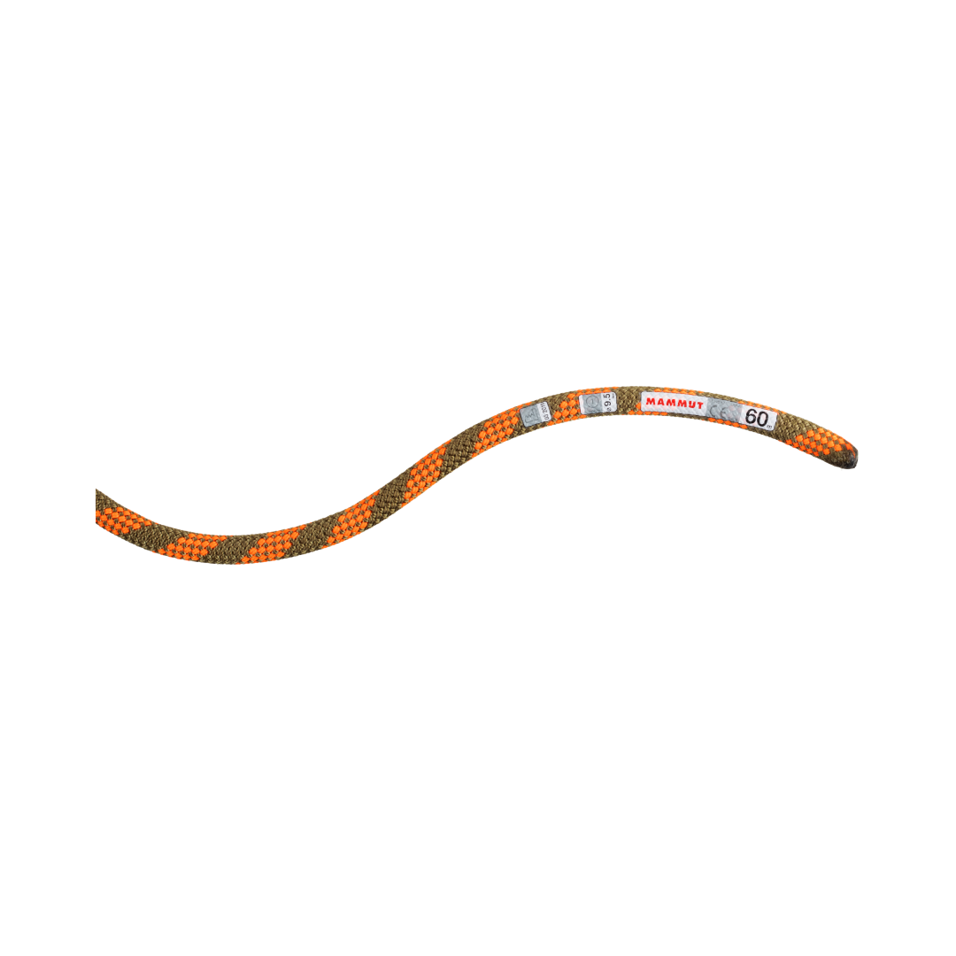 9.5 Crag Dry Rope