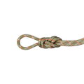 9.5 Gym Classic Rope