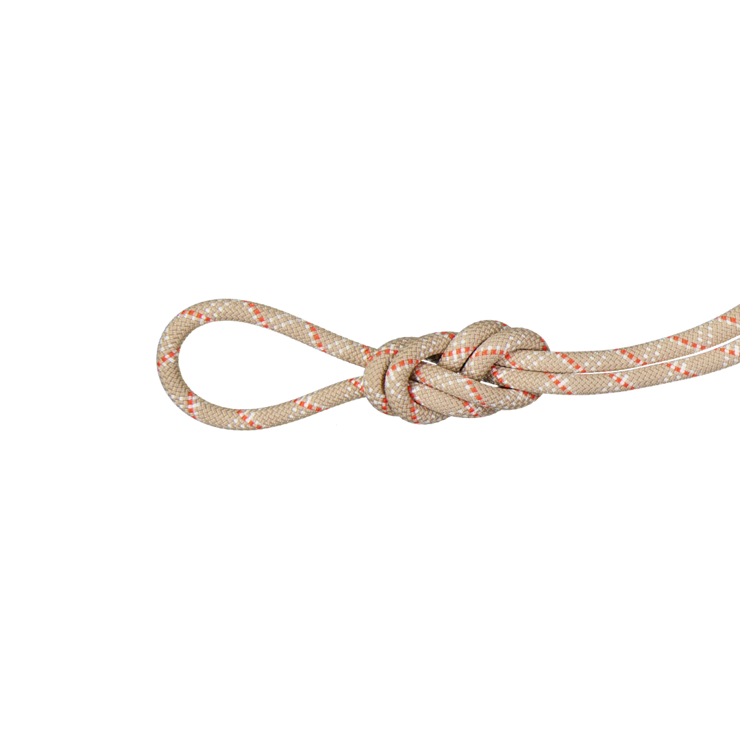 9.5 Gym Classic Rope