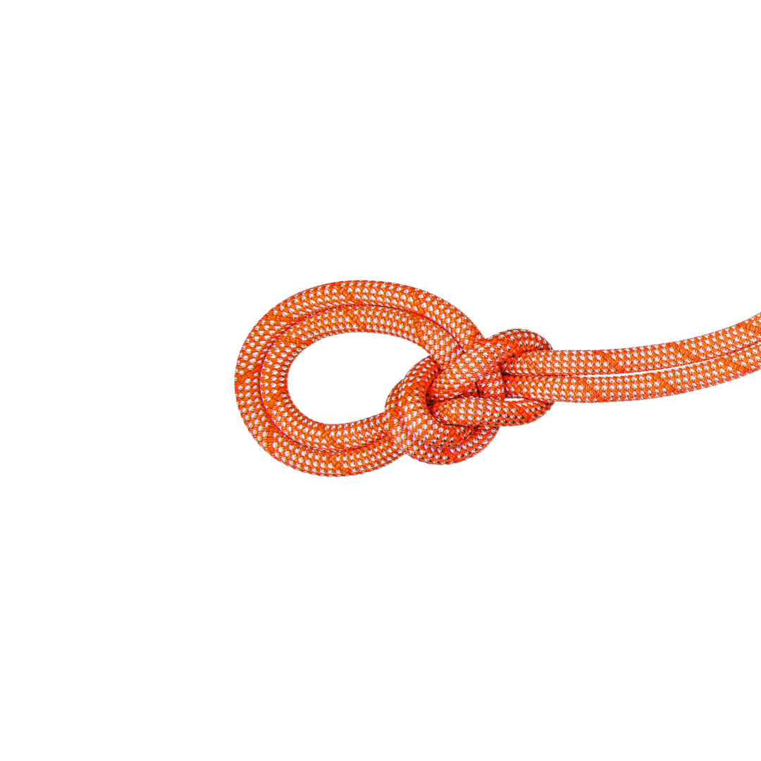 9.8 Crag Classic Rope