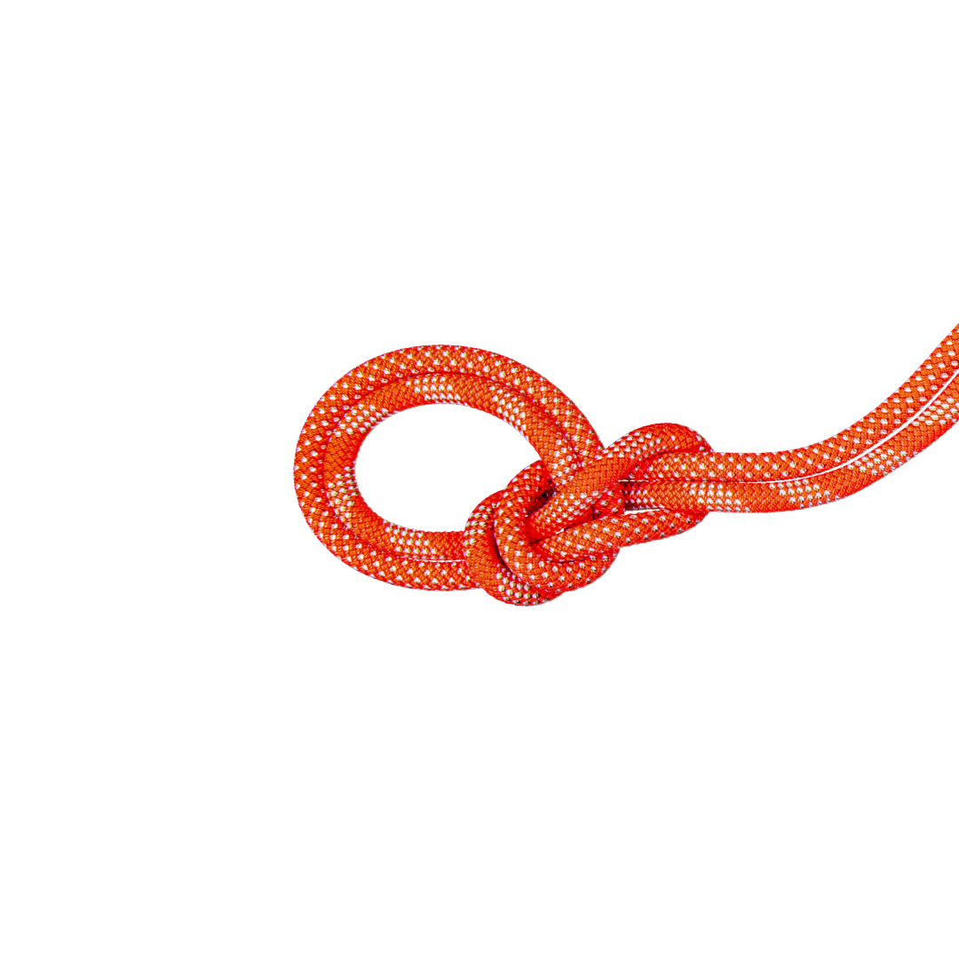 9.8 Crag Classic Rope
