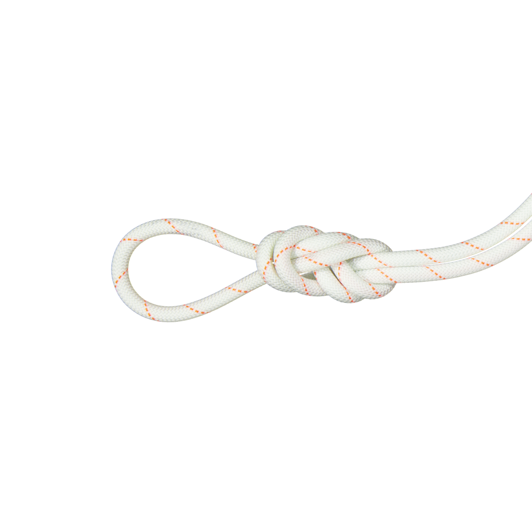 9.9 Gym Workhorse Dry Rope