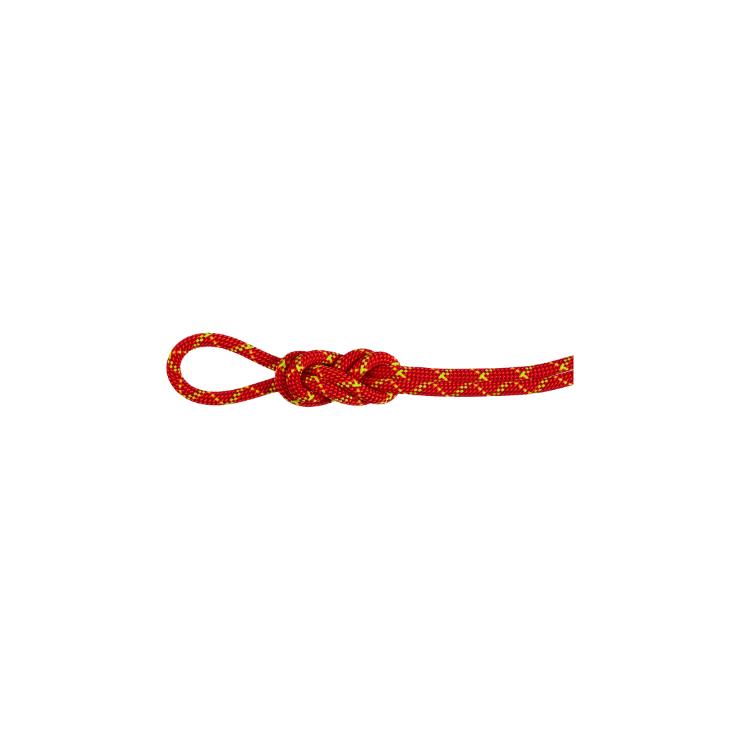 8.0 Alpine Core Protect Dry Rope