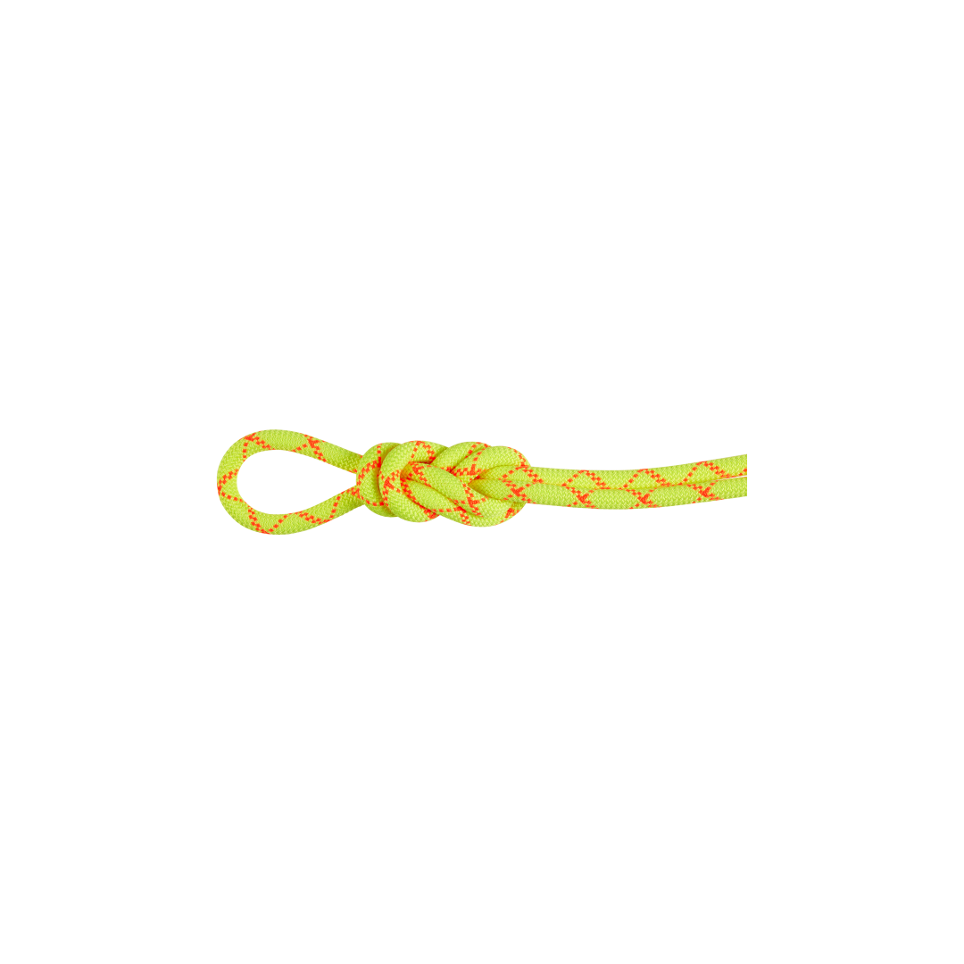 9.5 Alpine Core Protect Dry Rope