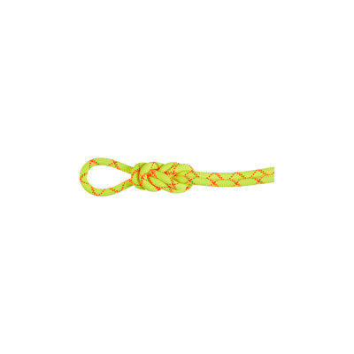 9.5 Alpine Core Protect Dry Rope