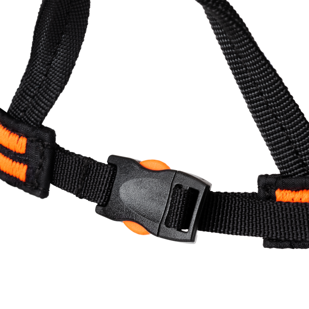 Eiger Speed Harness