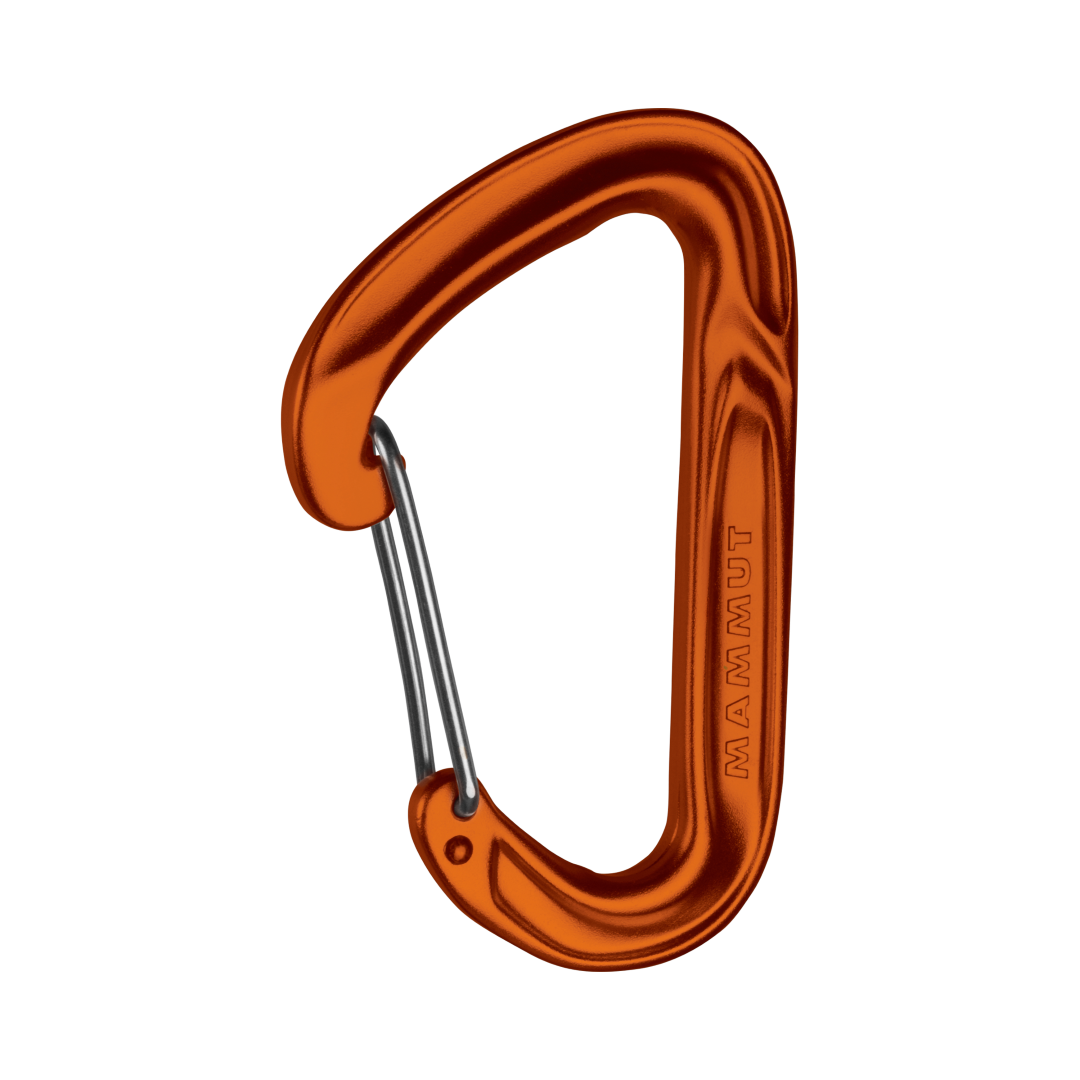 Wall Light Wire Gate