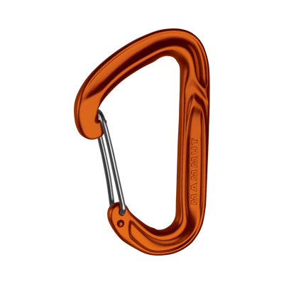 Wall Light Wire Gate