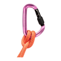Classic HMS Screwgate Carabiner