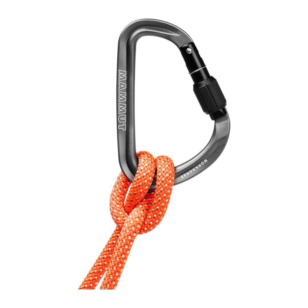 Workhorse HMS Screwgate Carabiner
