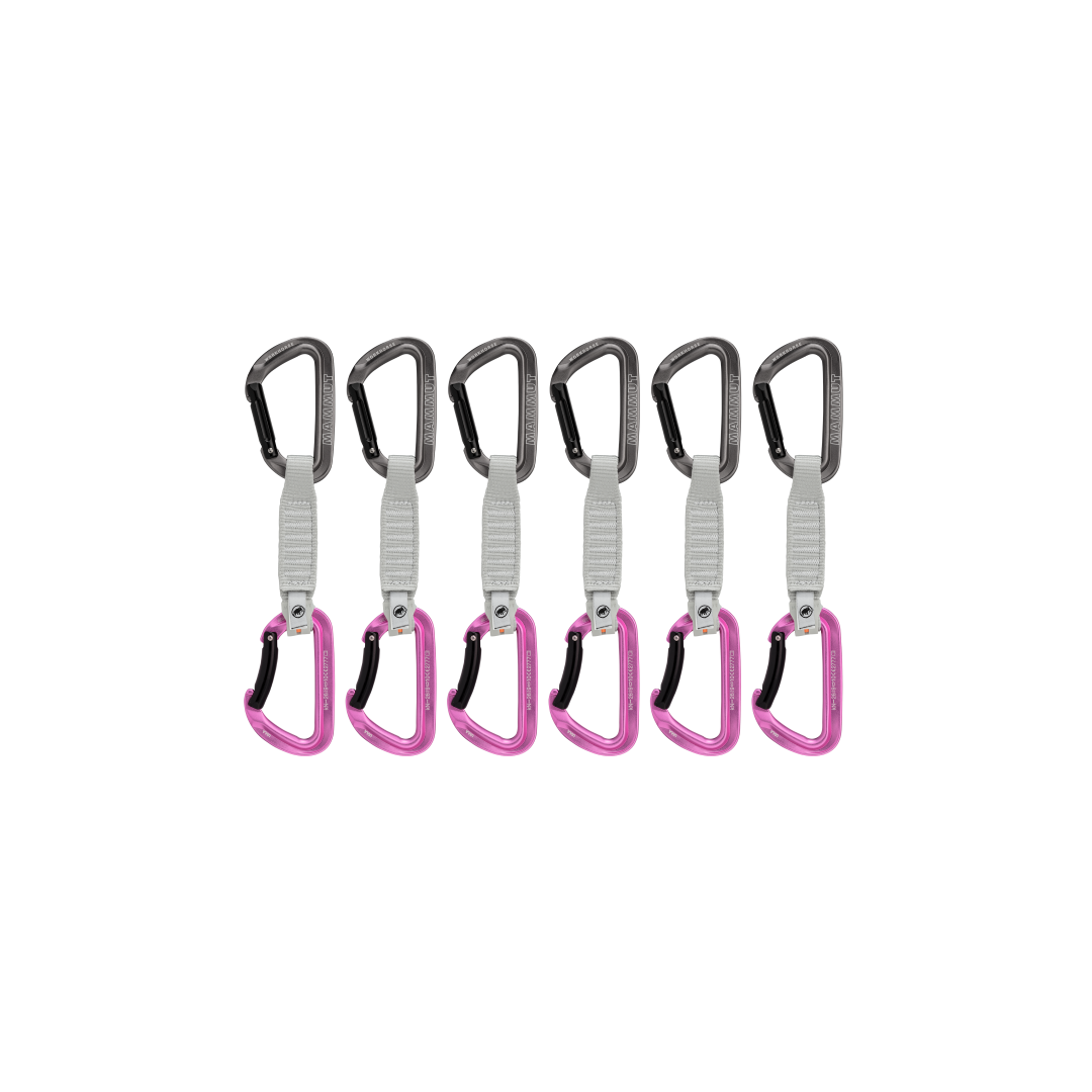 Workhorse Keylock 12cm 6-Pack Quickdraws