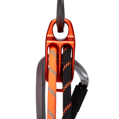 Wall Alpine Belay