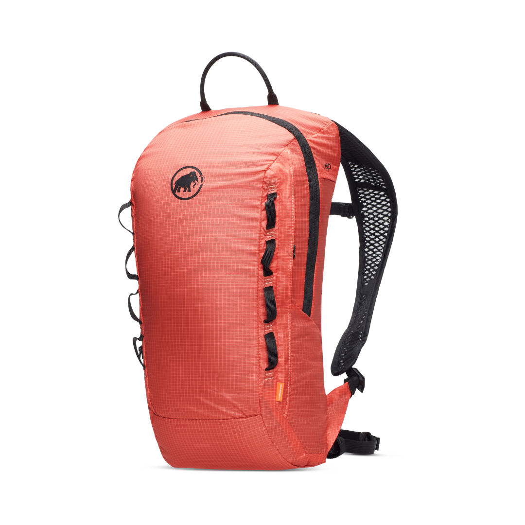 Neon Light 12L