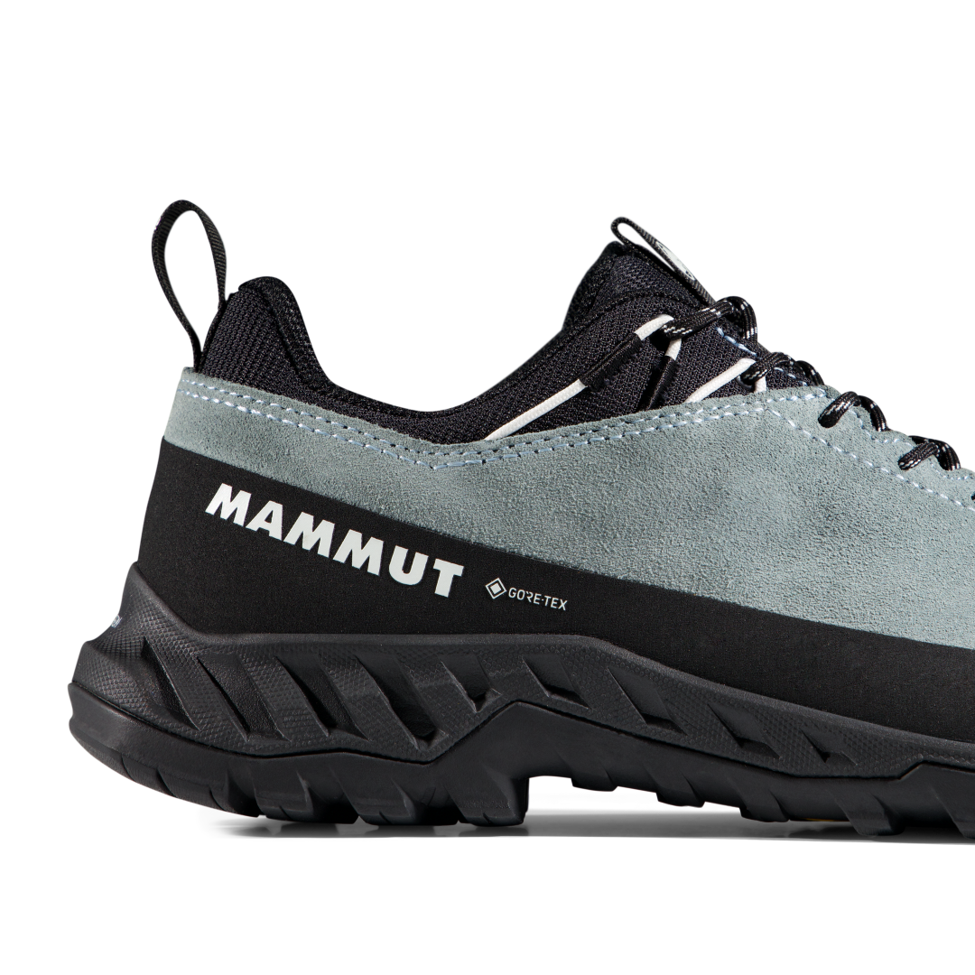 Alnasca IV Low LTH GTX® Women