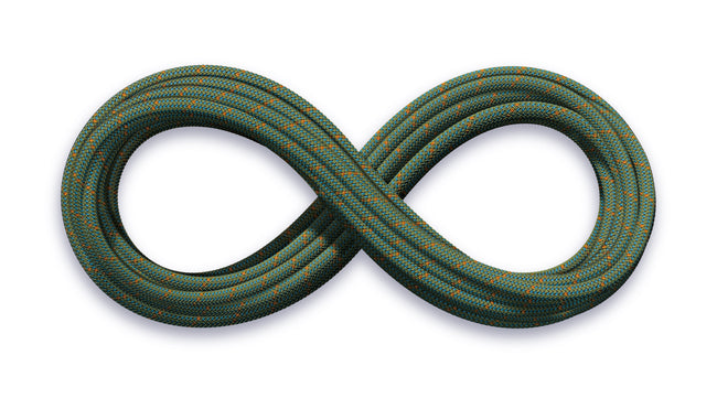 9.9 Crag Workhorse Dry Rope